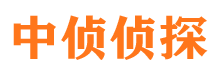 四方市调查公司